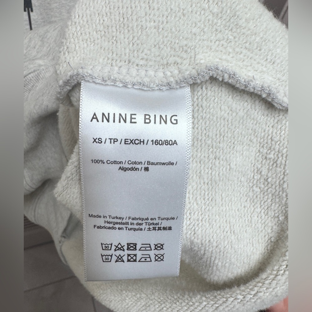 Anine Bing Sport Light Gray Hoodie - Picture 2 of 3